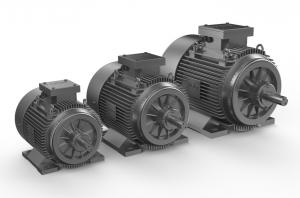 Industrial electric motors
